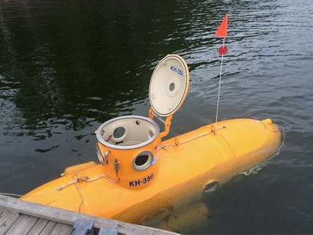 This yellow personal submarine was seen at Mangan Cove, Lake Wallenpaupack, November 18.