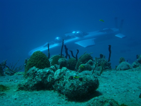 DeepFlight Super Falcon Explores Reef